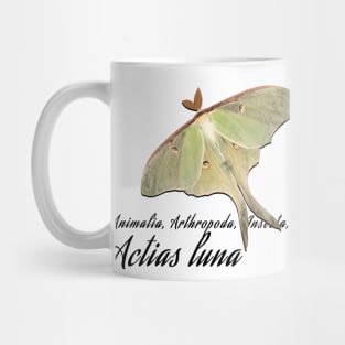 Luna Moth Taxonomy Mug